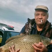 ���������� ���������, ���� ������� ����, 62 ����, ������������ ��� ����� � ���������