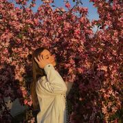  -,   , 22 ,   ,   , c 