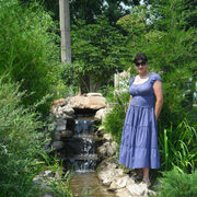 ���������� �����������, ���� ������� ������, 54 ����, ������������ ��� c�������� ���������