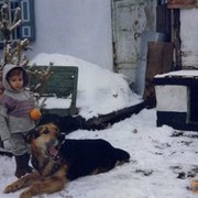 ���������� ��������������, ���� ������� �������, 32 ����, ������������ ��� ������, ����� � ���������, c�������� ���������, ���������