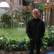  ,   , 51 ,   