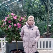  ,   , 62 ,   ,   