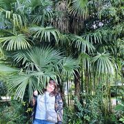 ���������� ��������-��-������, ���� ������� ����, 40 ���, ������������ ��� ������, ����� � ���������, c�������� ���������