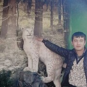 ���������� �������, ���� ������� ����, 36 ���, ������������ ��� ������, ����� � ���������, ���������