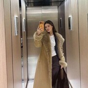 ���������� ���������, ����