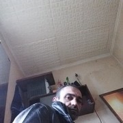  ,   Hamlet, 48 ,     , c 