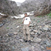  ,   Daler, 42 ,   ,   , c 