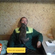  ,   , 47 ,   ,   , c 
