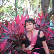  ,   , 63 ,   ,   , c 