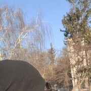 ���������� ������, ���� ������� ����, 38 ���, ������������ ��� ������, ����� � ���������, c�������� ���������