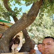 ���������� ����-���������, ���� ������� �������, 35 ���, ������������ ��� ������, ����� � ���������