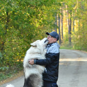 ���������� ��������, ���� ������� ������, 57 ���, ������������ ��� ������, ����� � ���������, c�������� ���������