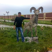  ,   Aslan, 40 ,   