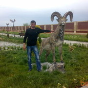  ,   Aslan, 39 ,   