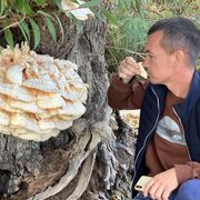 ���������� ����, ���� ������� �������, 44 ����, ������������ ��� ������, ����� � ���������, c�������� ���������, ���������