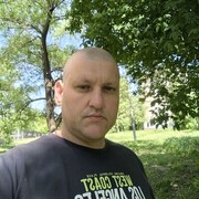 ���������� ��������, ���� ������� SPelfox, 37 ���, ������������ ��� ����� � ���������, c�������� ���������