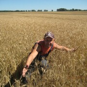 ���������� �����, ���� ������� �leg, 49 ���, ������������ ��� ����� � ���������, c�������� ���������