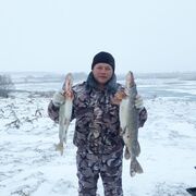 ���������� ������, ���� ������� �������, 46 ���, ������������ ��� ������, ����� � ���������, c�������� ���������, ���������