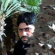  ,   TARLAN, 42 ,   ,   , c 