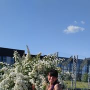  ,   , 39 ,     , c , 