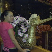 ���������� �����������, ���� ������� ������, 48 ���, ������������ ��� ������, ���������