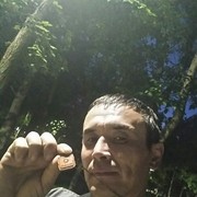 ���������� ������, ���� ������� ����, 44 ����, ������������ ��� ������, ����� � ���������, c�������� ���������