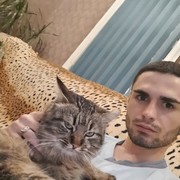 ���������� ����, ���� ������� ������, 29 ���, ������������ ��� ������, ����� � ���������, c�������� ���������