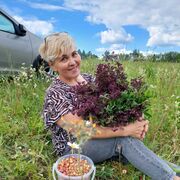 ���������� ������, ���� ������� ���, 54 ����, ������������ ��� ������, ����� � ���������