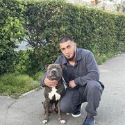 ���������� �����, ���� ������� ���, 29 ���, ������������ ��� ������, ����� � ���������