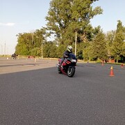 ���������� ����������, ���� ������� ������, 37 ���, ������������ ��� ������, ����� � ���������