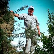 ���������� �����, ���� ������� �����, 74 ����, ������������ ��� c�������� ���������