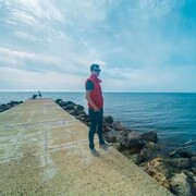 ���������� ����������, ���� ������� ������, 29 ���, ������������ ��� ������, ����� � ���������