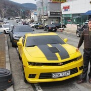 ���������� �����-���������, ���� ������� Anvar, 36 ���, ������������ ��� ����� � ���������, c�������� ���������