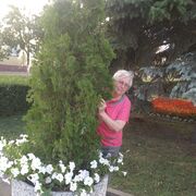 ���������� ������-��������, ���� ������� ��������, 72 ����, ������������ ��� ������, ����� � ���������