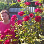  ,   , 50 ,   ,   , c 