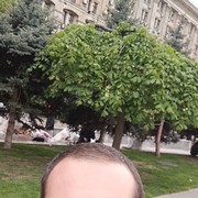  ,  , 41