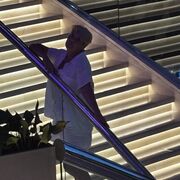 ���������� �����������, ���� ������� �������, 53 ����, ������������ 