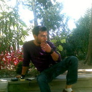  ,   Daduu, 37 ,   