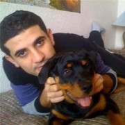 ���������� �������, ���� ������� �����, 36 ���, ������������ ��� ������, ����� � ���������, c�������� ���������