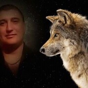 ���������� ������, ���� ������� �������, 41 ���, ������������ ��� ������, ����� � ���������, c�������� ���������