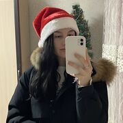 ���������� ����������, �����