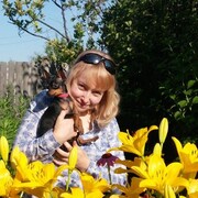 Abbadia San Salvatore,   Viola, 46 ,   c 