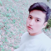  ,   Shohin, 26 ,   ,   , c 