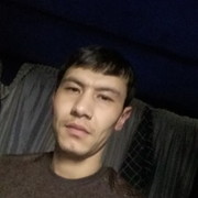  ,   Zoxid, 38 ,   ,   , c 