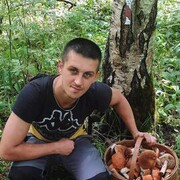 ���������� �����-���������, ���� ������� ������, 36 ���, ������������ ��� ������, ����� � ���������, c�������� ���������, ���������