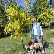  ,   , 61 ,   ,   , c , 