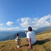 ���������� ����������, ���� ������� ��������, 36 ���, ������������ ��� ������, ����� � ���������