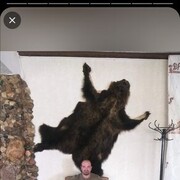 ���������� ������, ���� ������� Rus, 33 ����, ������������ ��� ������