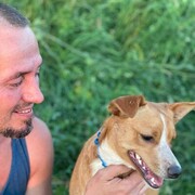 ���������� ������ ��������, ���� ������� �����, 38 ���, ������������ ��� ������, ����� � ���������