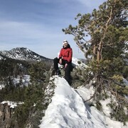 ���������� ������, ���� ������� �����, 42 ����, ������������ ��� ������, ����� � ���������